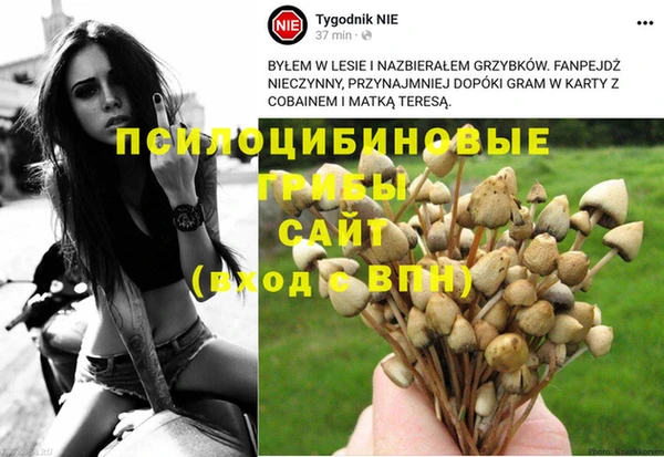 гашишное масло Аркадак