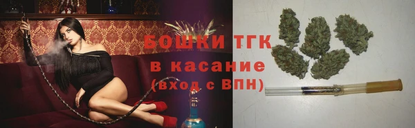 сатива Арсеньев