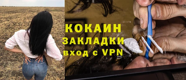 сатива Арсеньев