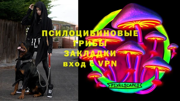 сатива Арсеньев