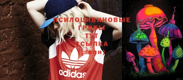 твердый Армянск