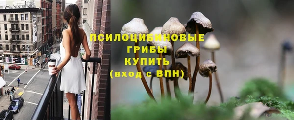 твердый Армянск